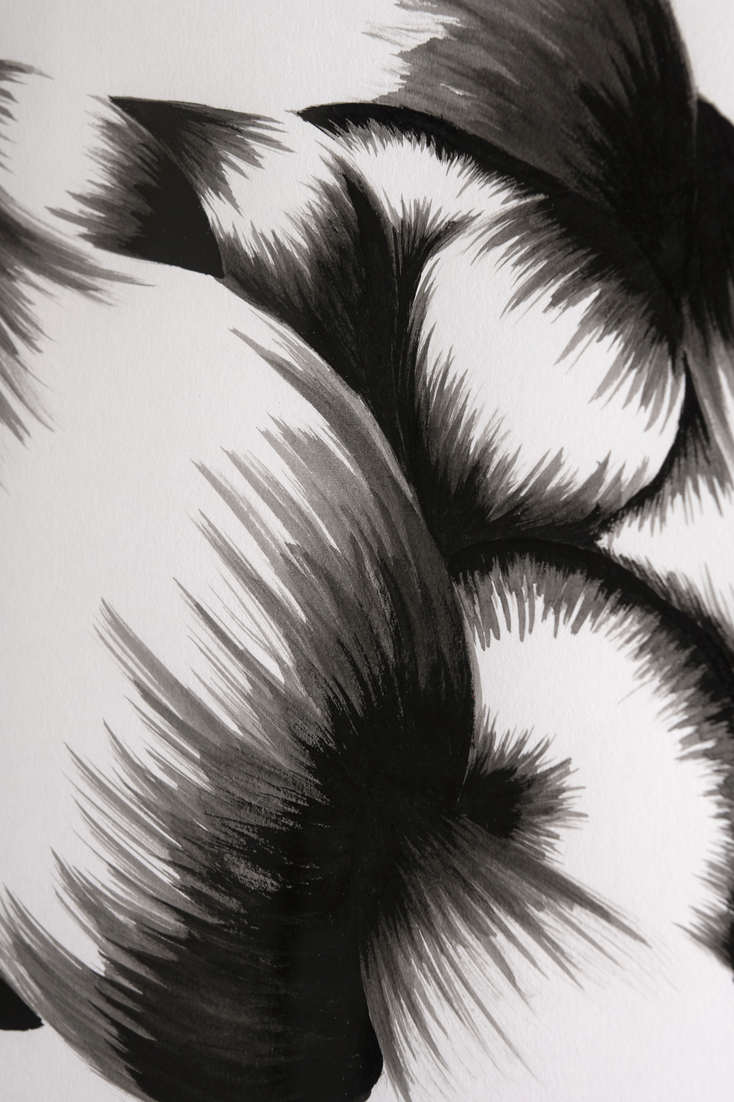 THAM VO Diane - Encre Numéro 6 – Image 4