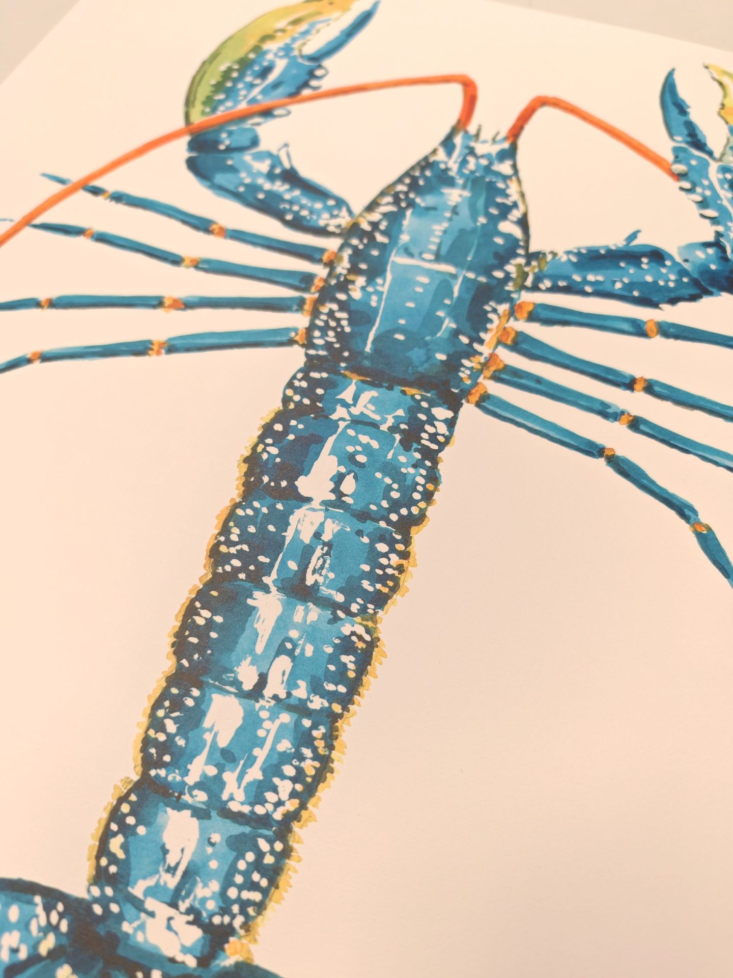 CURE Bertrand - Homard – Image 4