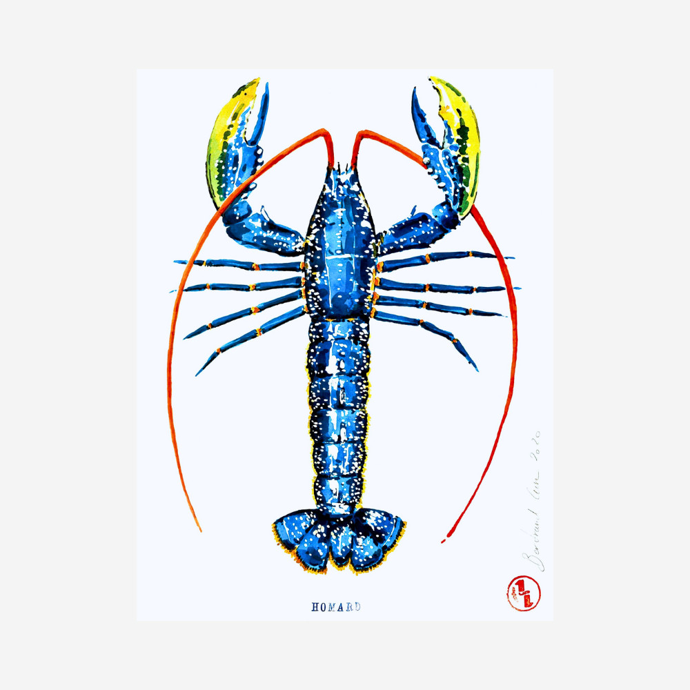 CURE Bertrand - Homard – Image 2