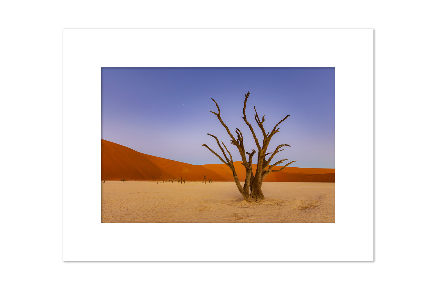 PUJOL Mathieu - Douce Lumière sur le Deadvlei – Image 3