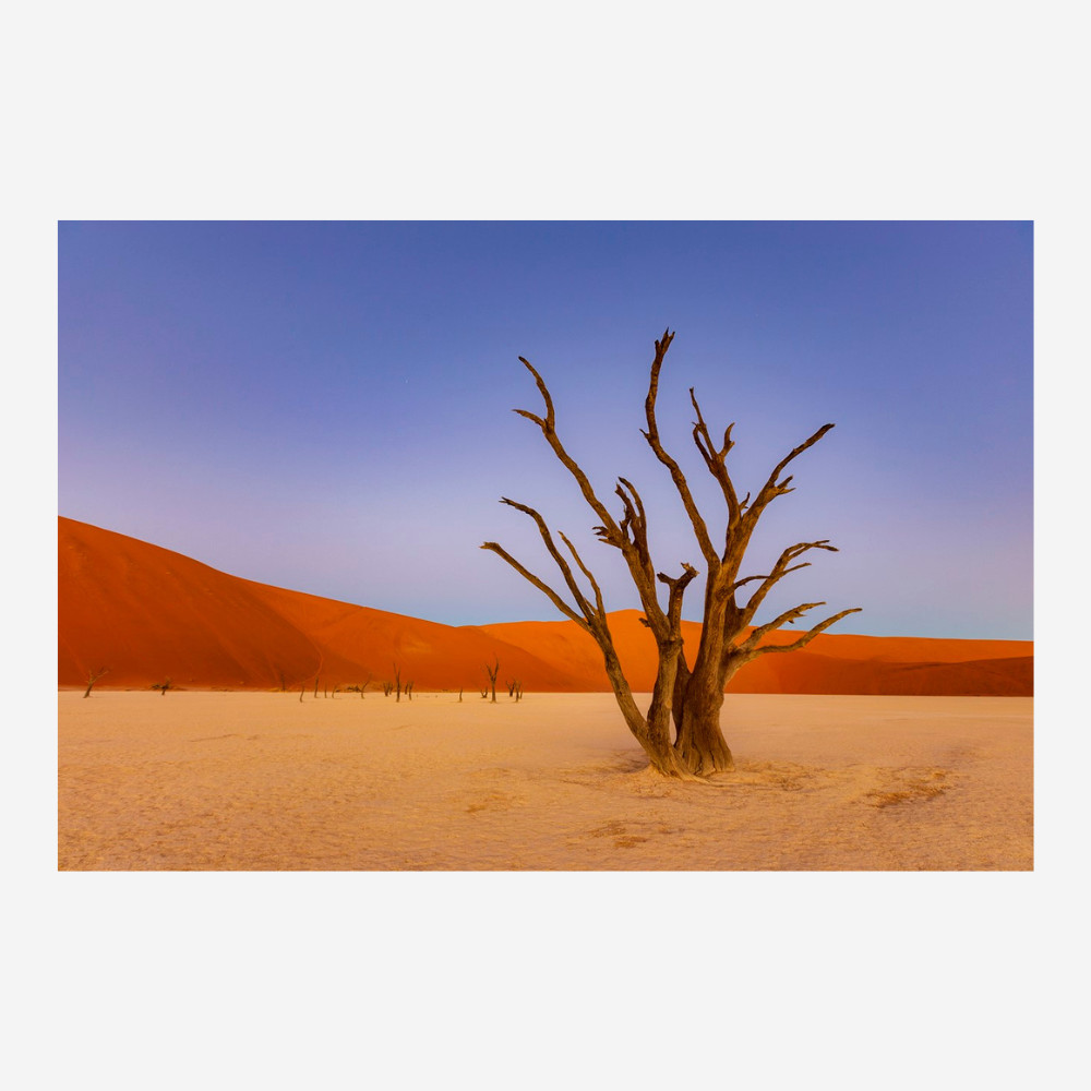 PUJOL Mathieu - Douce Lumière sur le Deadvlei – Image 2
