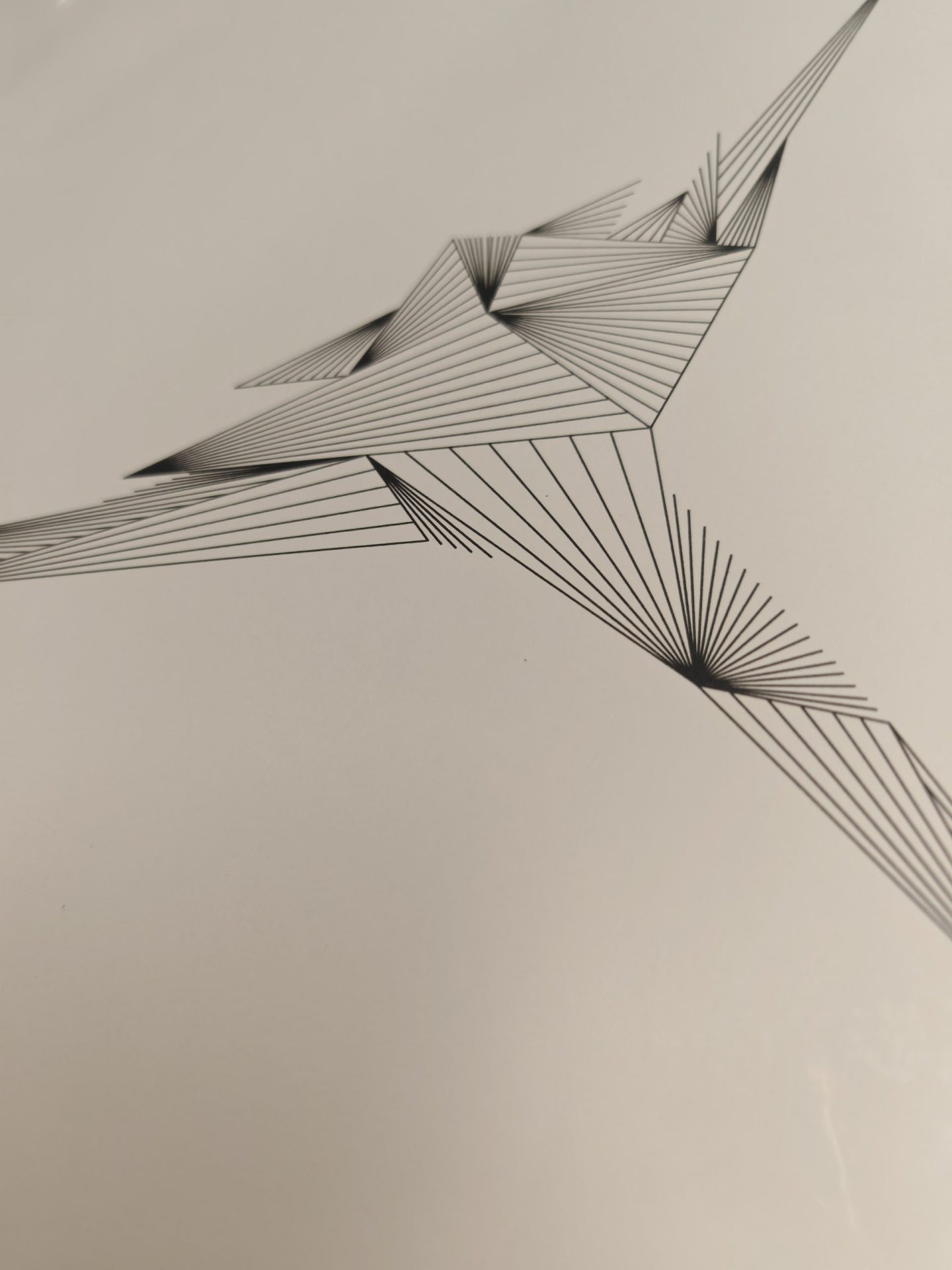 GENÊT Gauthier - Uncurved 3 – Image 4