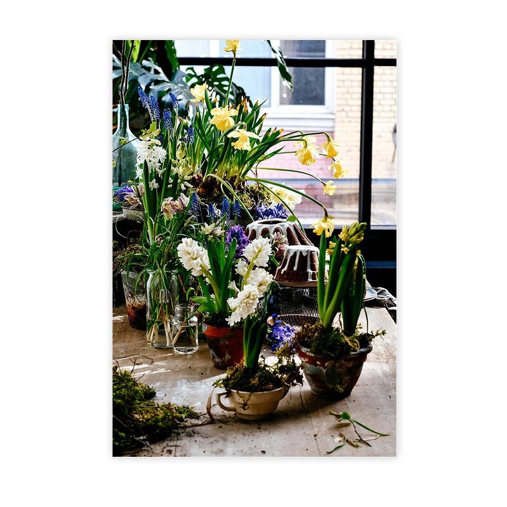 Fleurs de printemps